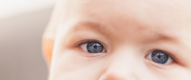 Scientists Find People With Blue Eyes Are More Likely To Become Alcoholics — And The Reason May Be In Their DNA Scientists Find People With Blue Eyes Are More Likely To Become Alcoholics — And The Reason May Be In Their DNA