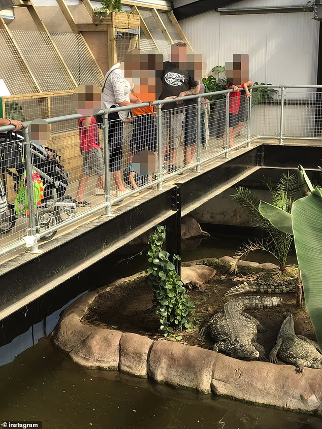 Boy, 3, Has 5 Surgeries After Being ‘Thrown Into Croc Pit Boy, 3, Has 5 Surgeries After Being ‘Thrown Into Croc Pit