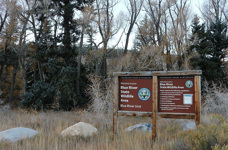 Colorado State Patrol Urges Drivers to Watch for Wildlife wikimedia commons