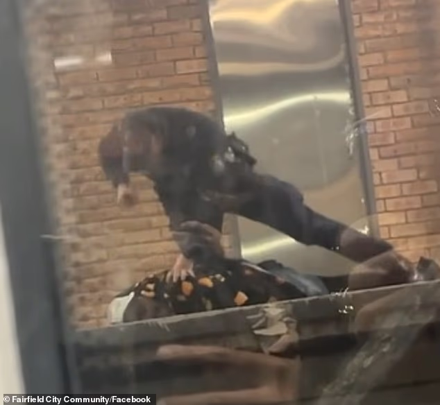 NSW Police Defend Officer Filmed Punching Man in Cabramatta Arrest NSW Police Defend Officer Filmed Punching Man in Cabramatta Arrest