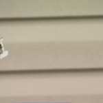 Baltimore Neighbors Grieve Siblings, 9 and 15, Shot Dead in Home